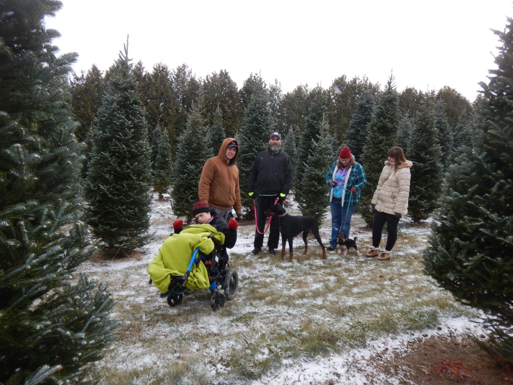 Wintersingers Tree Farm, Christmas, Christmas Tree, family